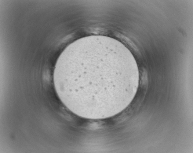 X0000115050569200911231156