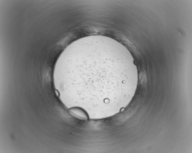 X0000115050570200911231156