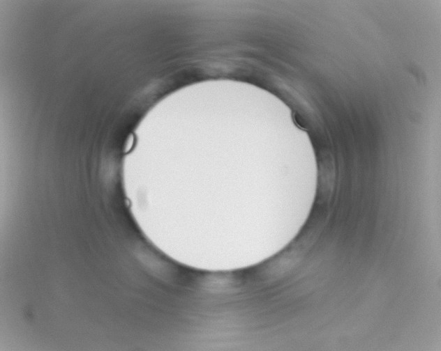 X0000115050574200911231156