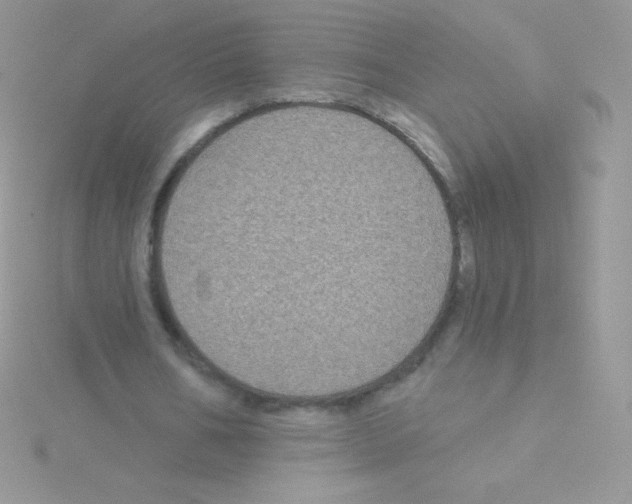 X0000115050578200911231155