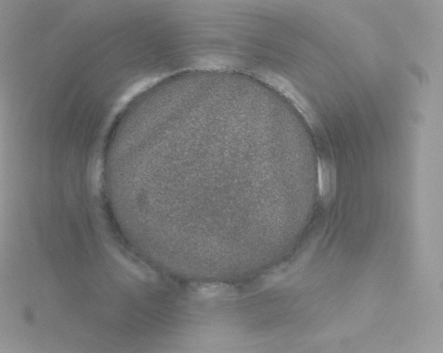 X0000115050579200911231155