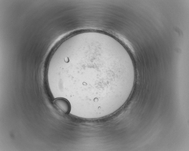 X0000115050580200911231155