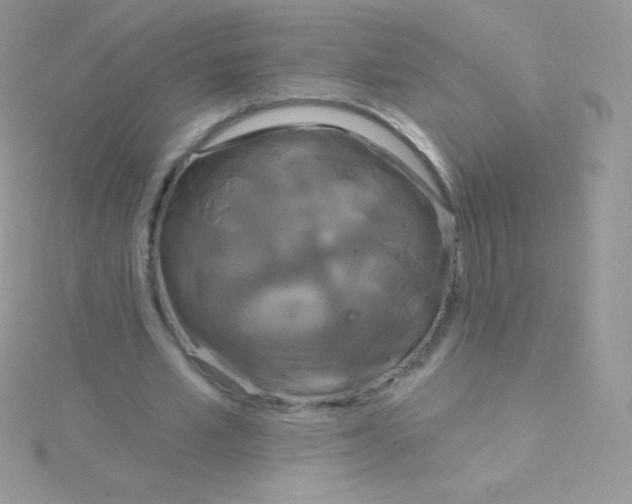 X0000115050581200911231155