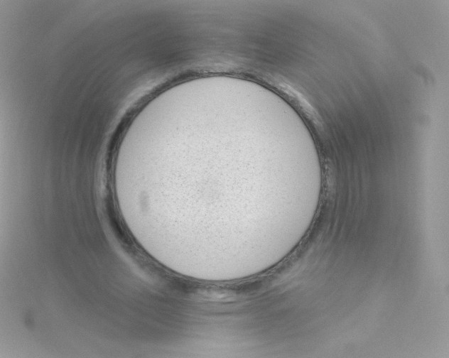 X0000115050582200911231155