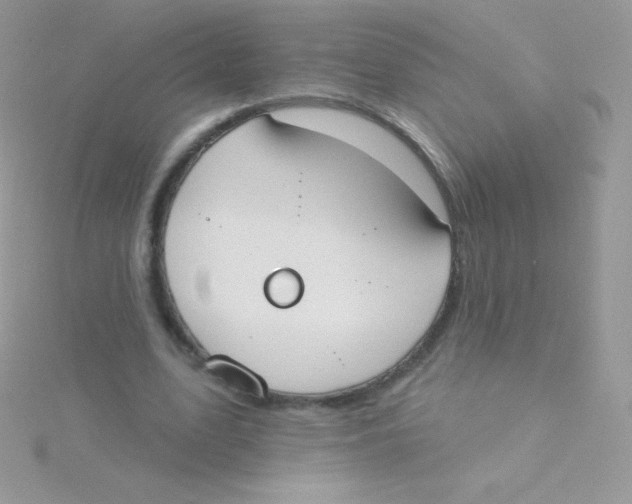 X0000115050583200911231155