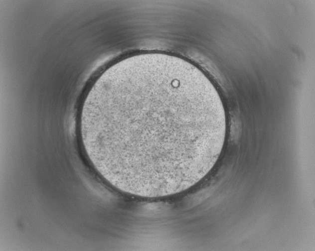 X0000115050584200911231155