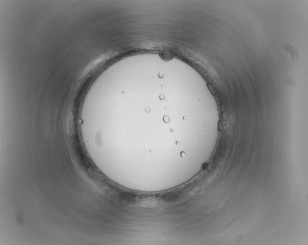 X0000115050587200911231155