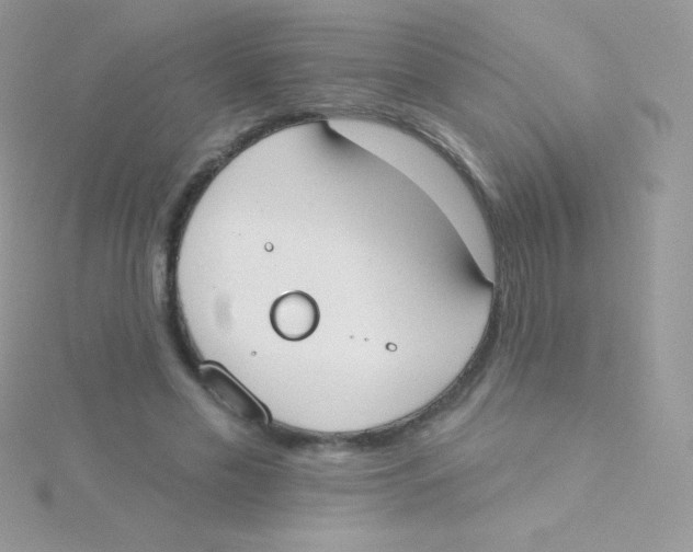 X0000115050589200911231155