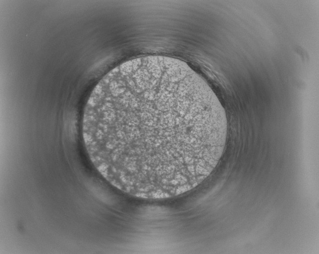 X0000115050590200911231155