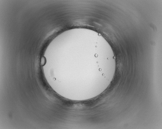 X0000115050591200911231155