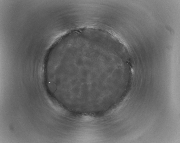 X0000115050592200911231155