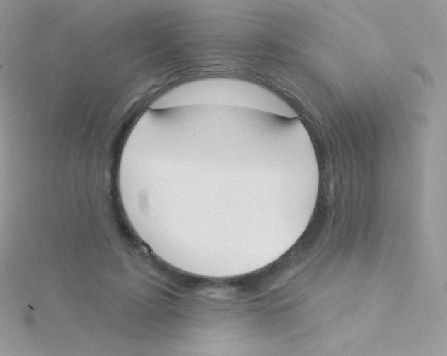 X0000115050595200911231155