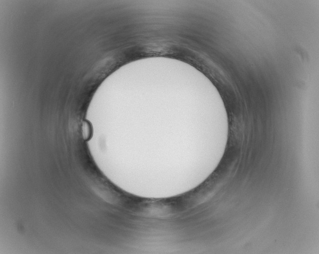 X0000115050601200911231155