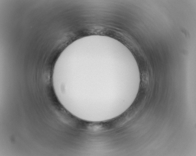 X0000115050602200911231155