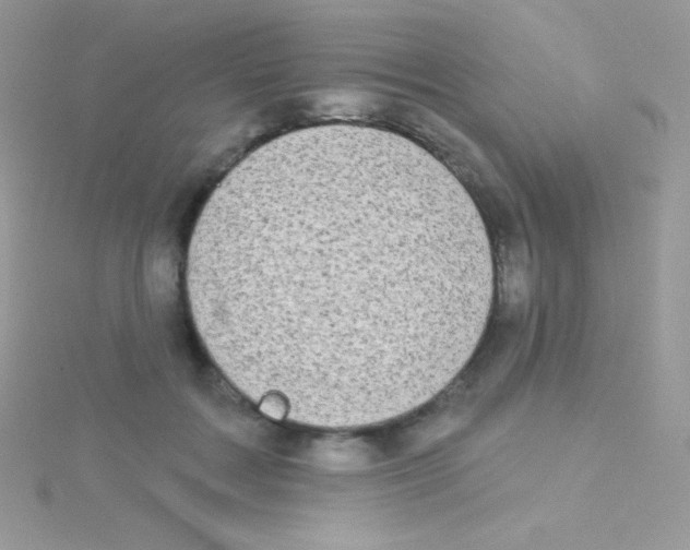 X0000115050603200911231155