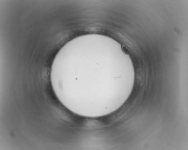 X0000115050605200911231155