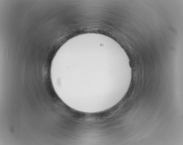 X0000115050608200911231155