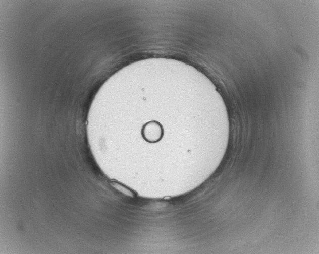 X0000115050609200911231155