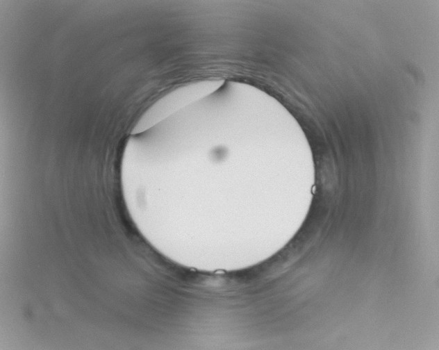 X0000115050611200911231155