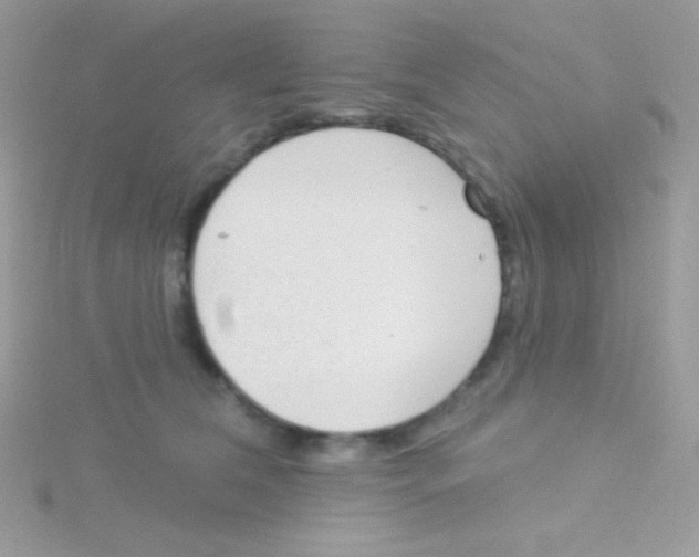 X0000115050612200911231155