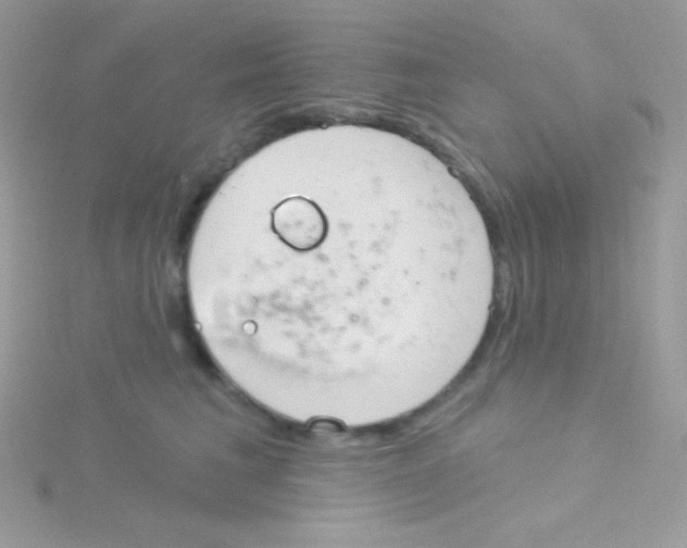 X0000115050613200911231155