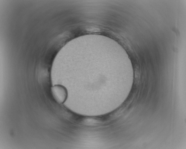 X0000115050614200911231155