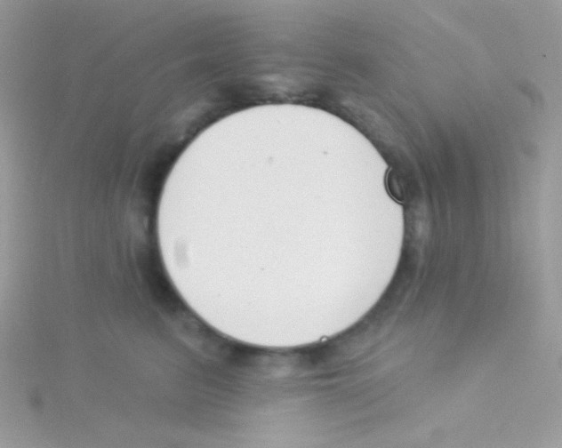 X0000115050615200911231155