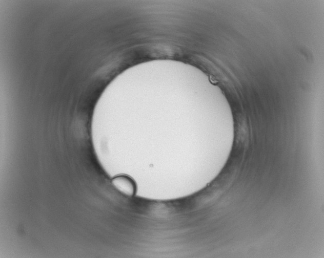 X0000115050616200911231155