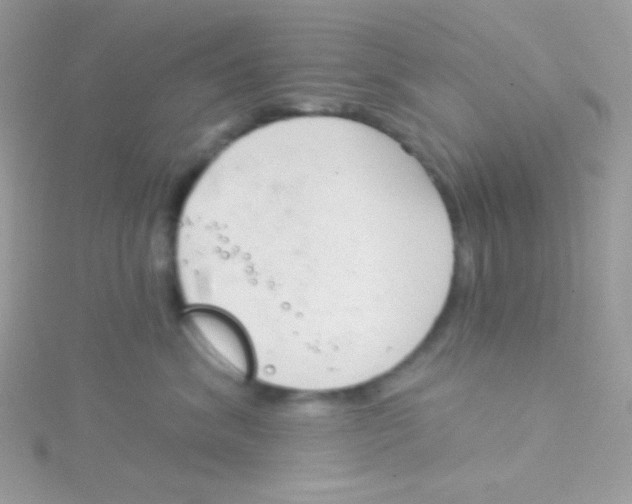 X0000115050620200911231155