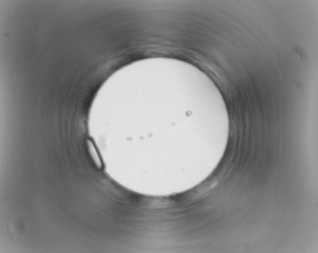 X0000115050621200911231155