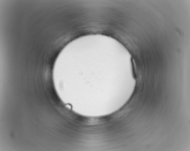 X0000115050623200911231155