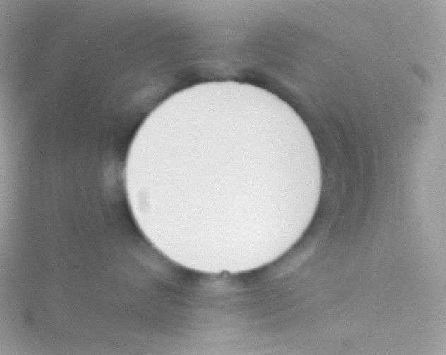 X0000115050624200911231155