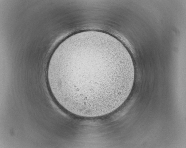 X0000115050625200911231154