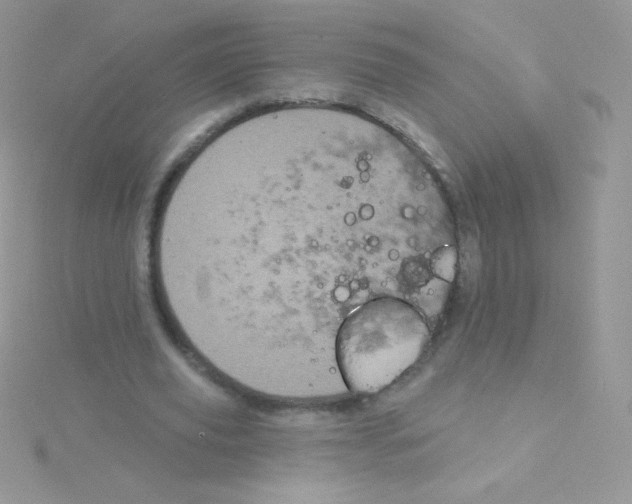 X0000115050629200911231154