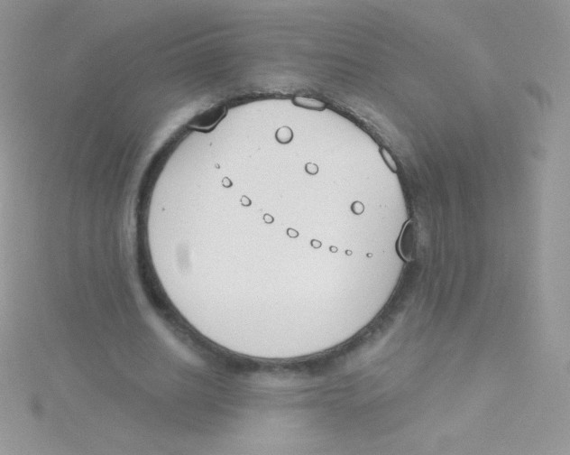 X0000115050630200911231154