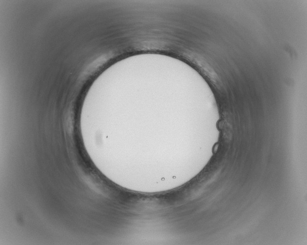 X0000115050631200911231154