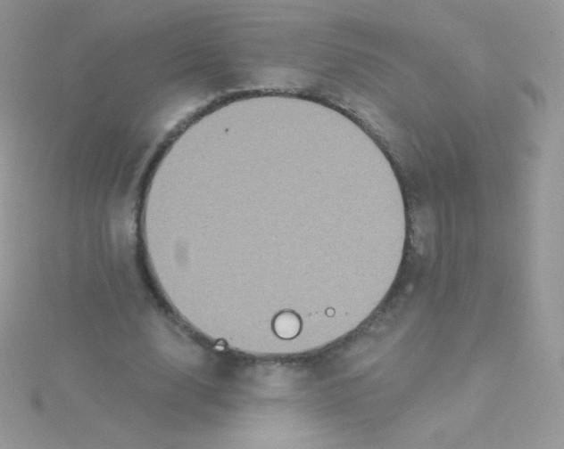 X0000115050632200911231154