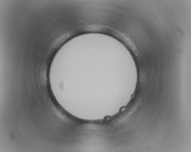 X0000115050633200911231154