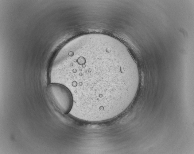 X0000115050634200911231154