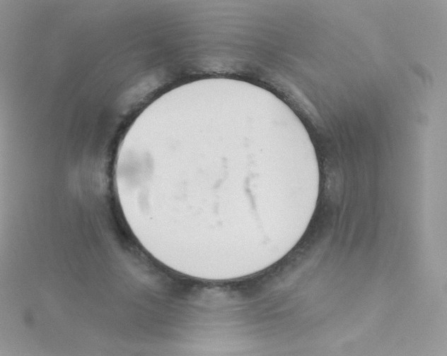 X0000115050635200911231154