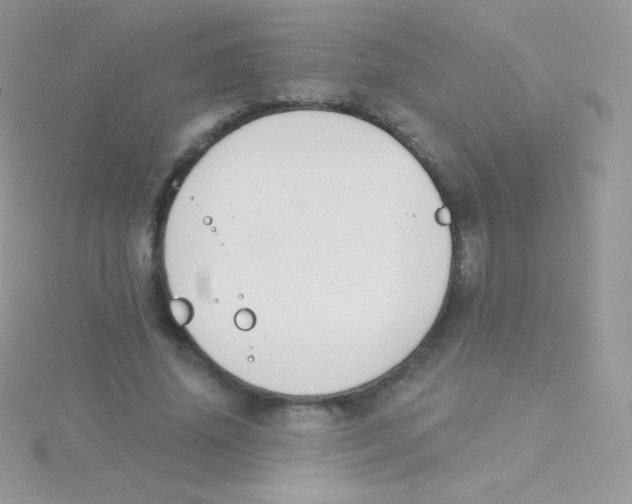 X0000115050636200911231154