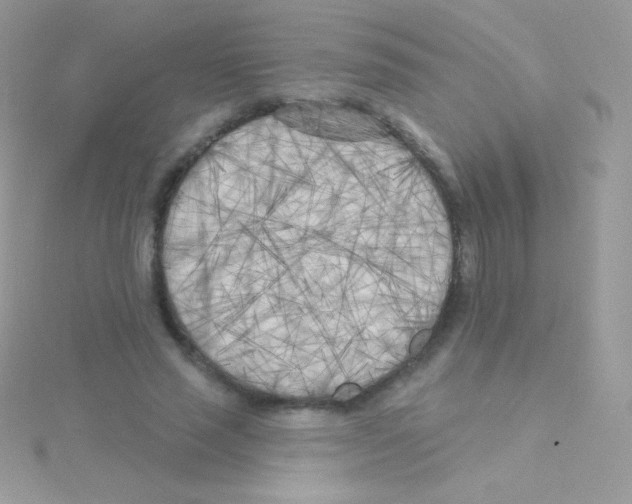 X0000115050637200911231154