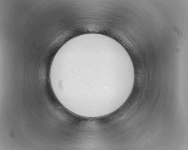 X0000115050639200911231154