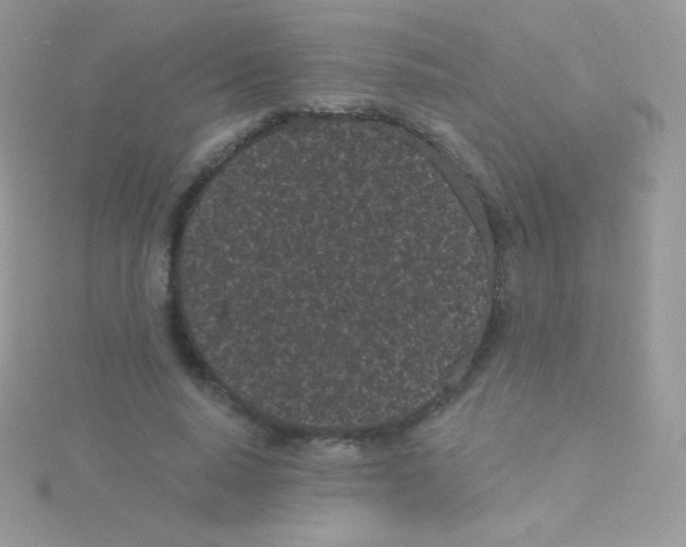 X0000115050640200911231154