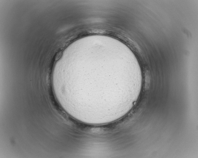 X0000115050641200911231154