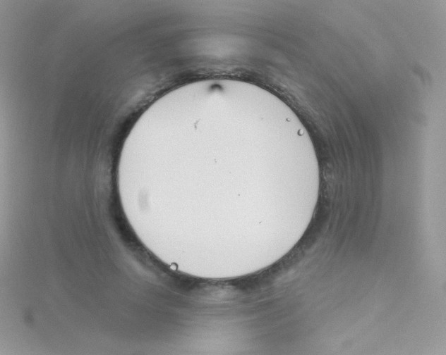 X0000115050642200911231154