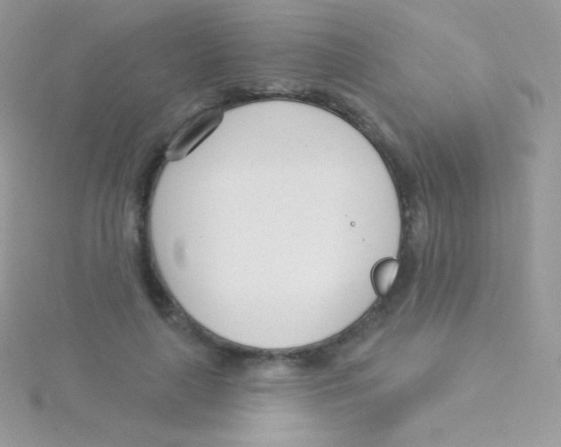 X0000115050643200911231154