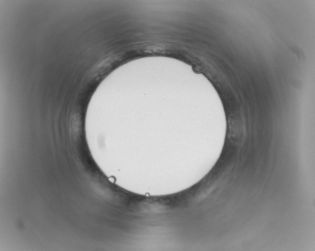 X0000115050648200911231154