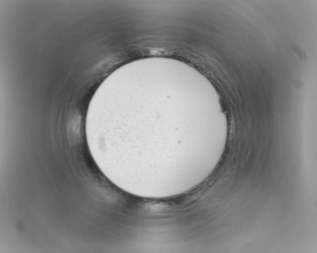 X0000115050650200911231155