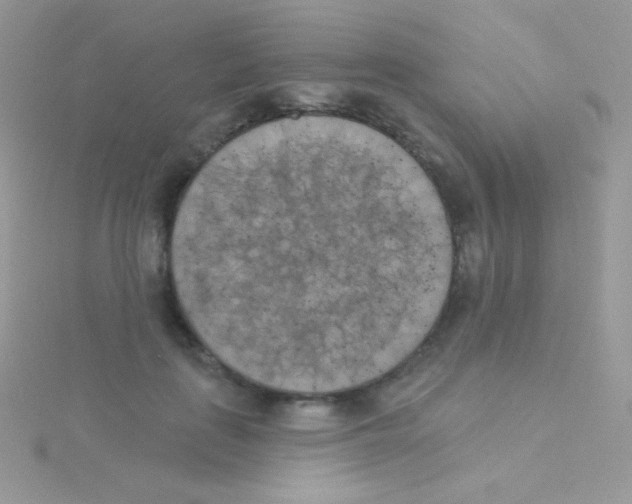 X0000115050651200911231155